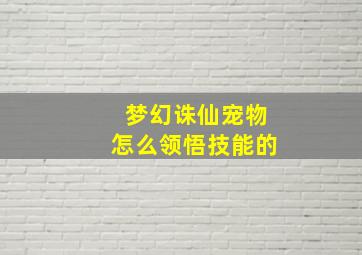 梦幻诛仙宠物怎么领悟技能的