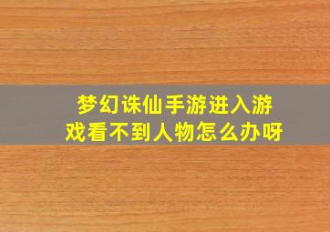 梦幻诛仙手游进入游戏看不到人物怎么办呀