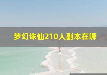 梦幻诛仙210人副本在哪