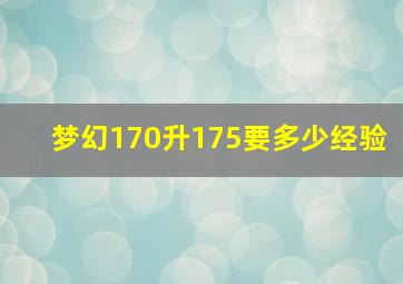 梦幻170升175要多少经验