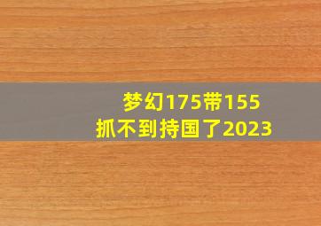 梦幻175带155抓不到持国了2023