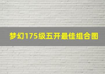 梦幻175级五开最佳组合图