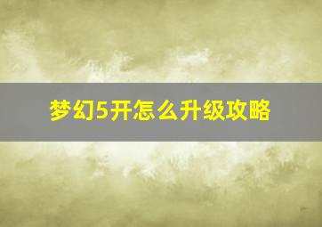 梦幻5开怎么升级攻略