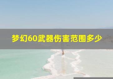 梦幻60武器伤害范围多少