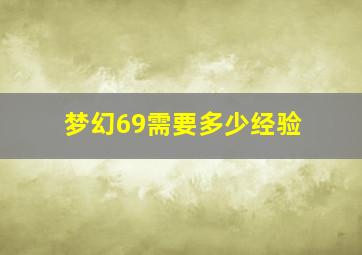 梦幻69需要多少经验