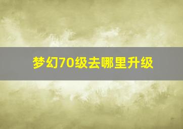 梦幻70级去哪里升级