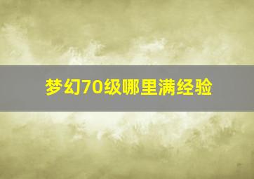 梦幻70级哪里满经验