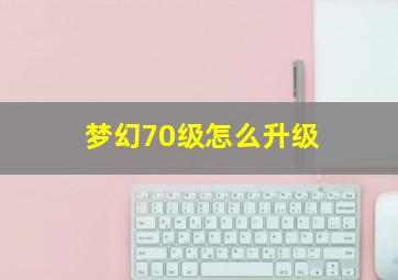 梦幻70级怎么升级