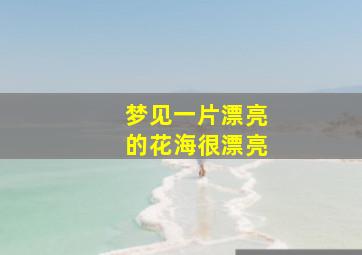 梦见一片漂亮的花海很漂亮