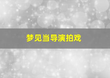 梦见当导演拍戏