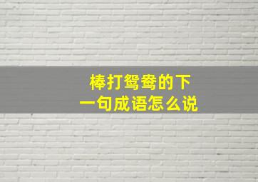 棒打鸳鸯的下一句成语怎么说