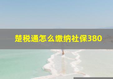 楚税通怎么缴纳社保380