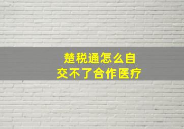 楚税通怎么自交不了合作医疗