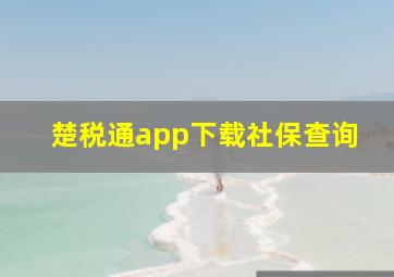 楚税通app下载社保查询