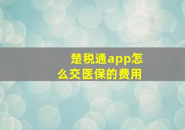 楚税通app怎么交医保的费用