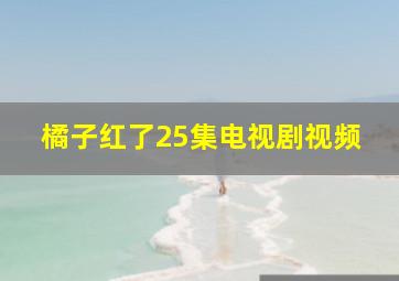 橘子红了25集电视剧视频