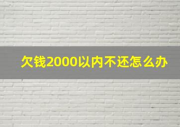 欠钱2000以内不还怎么办