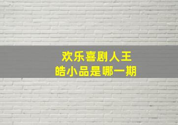 欢乐喜剧人王皓小品是哪一期