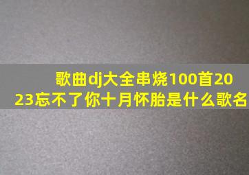 歌曲dj大全串烧100首2023忘不了你十月怀胎是什么歌名