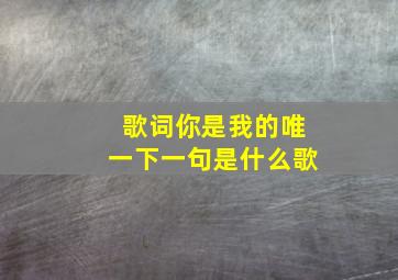 歌词你是我的唯一下一句是什么歌