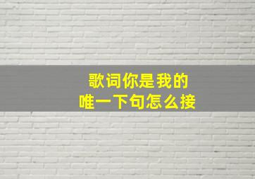 歌词你是我的唯一下句怎么接