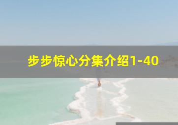 步步惊心分集介绍1-40