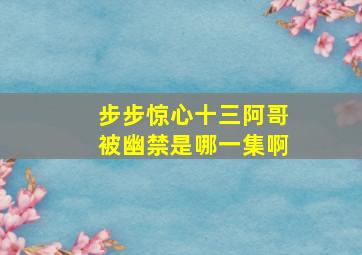 步步惊心十三阿哥被幽禁是哪一集啊