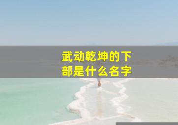 武动乾坤的下部是什么名字