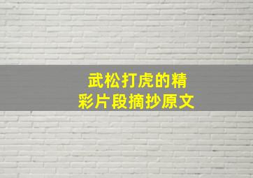 武松打虎的精彩片段摘抄原文