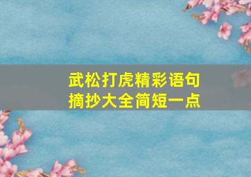 武松打虎精彩语句摘抄大全简短一点