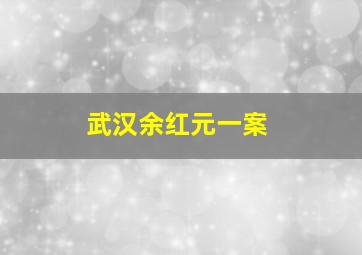 武汉余红元一案