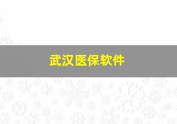 武汉医保软件