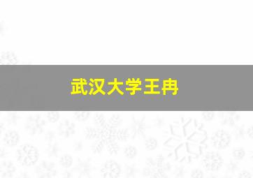 武汉大学王冉