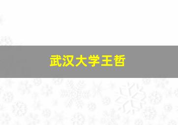 武汉大学王哲