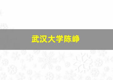 武汉大学陈峥