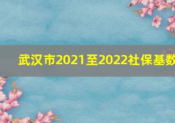 武汉市2021至2022社保基数