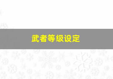 武者等级设定