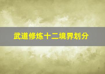 武道修炼十二境界划分