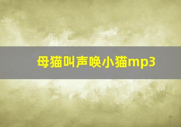 母猫叫声唤小猫mp3