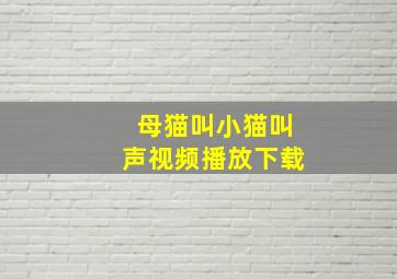 母猫叫小猫叫声视频播放下载