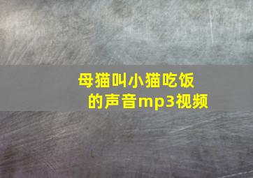 母猫叫小猫吃饭的声音mp3视频