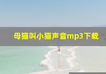 母猫叫小猫声音mp3下载