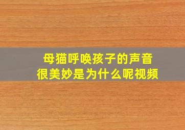 母猫呼唤孩子的声音很美妙是为什么呢视频