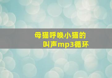 母猫呼唤小猫的叫声mp3循环