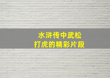 水浒传中武松打虎的精彩片段