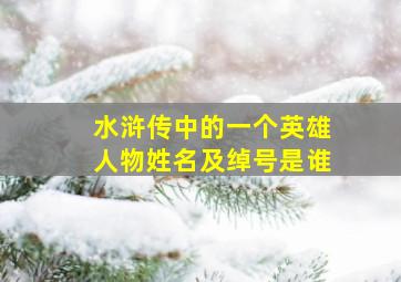 水浒传中的一个英雄人物姓名及绰号是谁