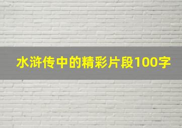 水浒传中的精彩片段100字