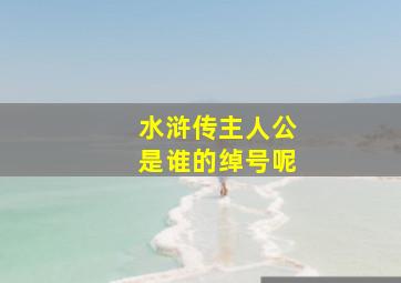 水浒传主人公是谁的绰号呢