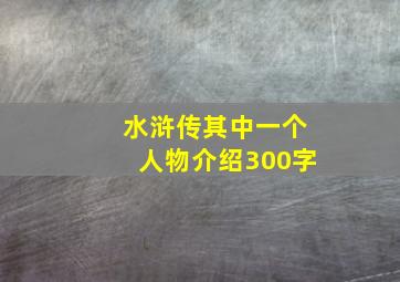 水浒传其中一个人物介绍300字