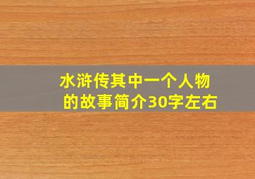 水浒传其中一个人物的故事简介30字左右